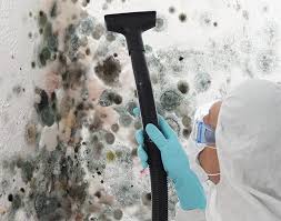 Best Residential Mold Inspection & Testing  in El Dorado Hills, CA